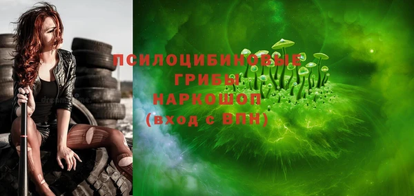 шишки Нефтекумск