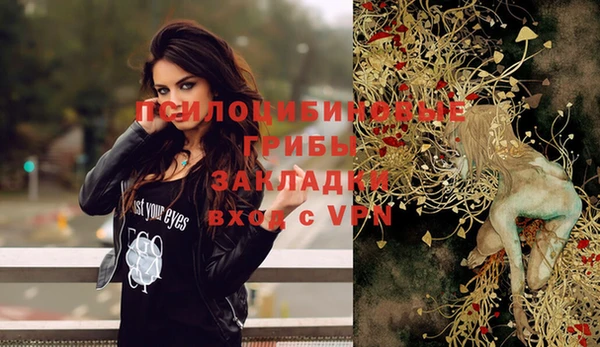 шишки Нефтекумск