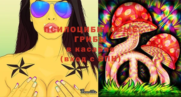тгк Лиски