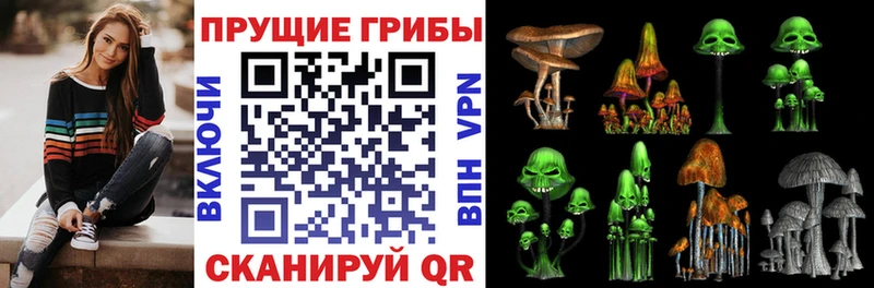 Псилоцибиновые грибы Psilocybe Протвино