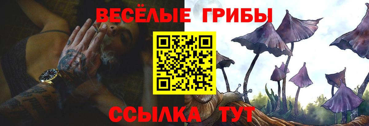 Псилоцибиновые грибы MAGIC MUSHROOMS  Псилоцибиновые грибы ЛСД  Протвино  Вход с VPN 